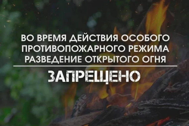 С 13 мая по 17 июня особый противопожарный режим установлен на всей территории Томской области. С 13 мая по 17 июня особый противопожарный режим установлен на всей территории Томской области.